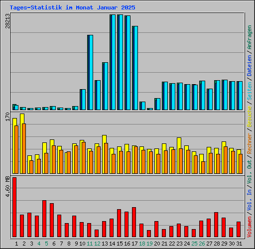 Tages-Statistik im Monat Januar 2025