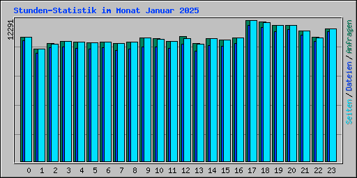 Stunden-Statistik im Monat Januar 2025