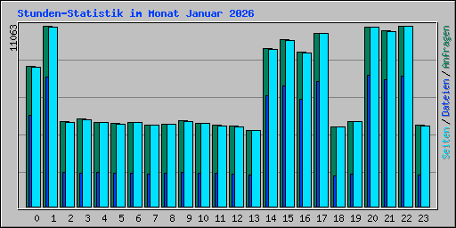 Stunden-Statistik im Monat Januar 2026